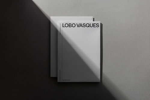 视觉正义 LOBO VASQUES精品律师事务所品牌形象与广告设计解析